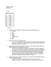 Fetal pig lab report